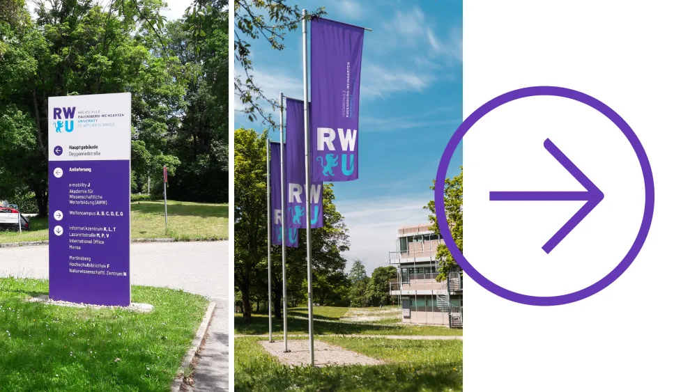 Two information signs on a green area; on the right, a purple arrow symbol inside a circle